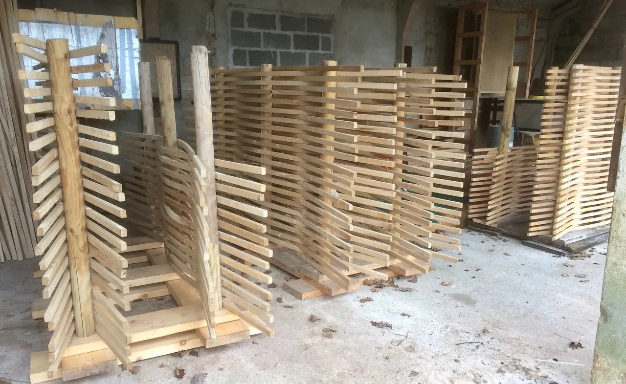 Steam bent Ash ready for making yurt walls Steam bent ash drying out to shape on jigs